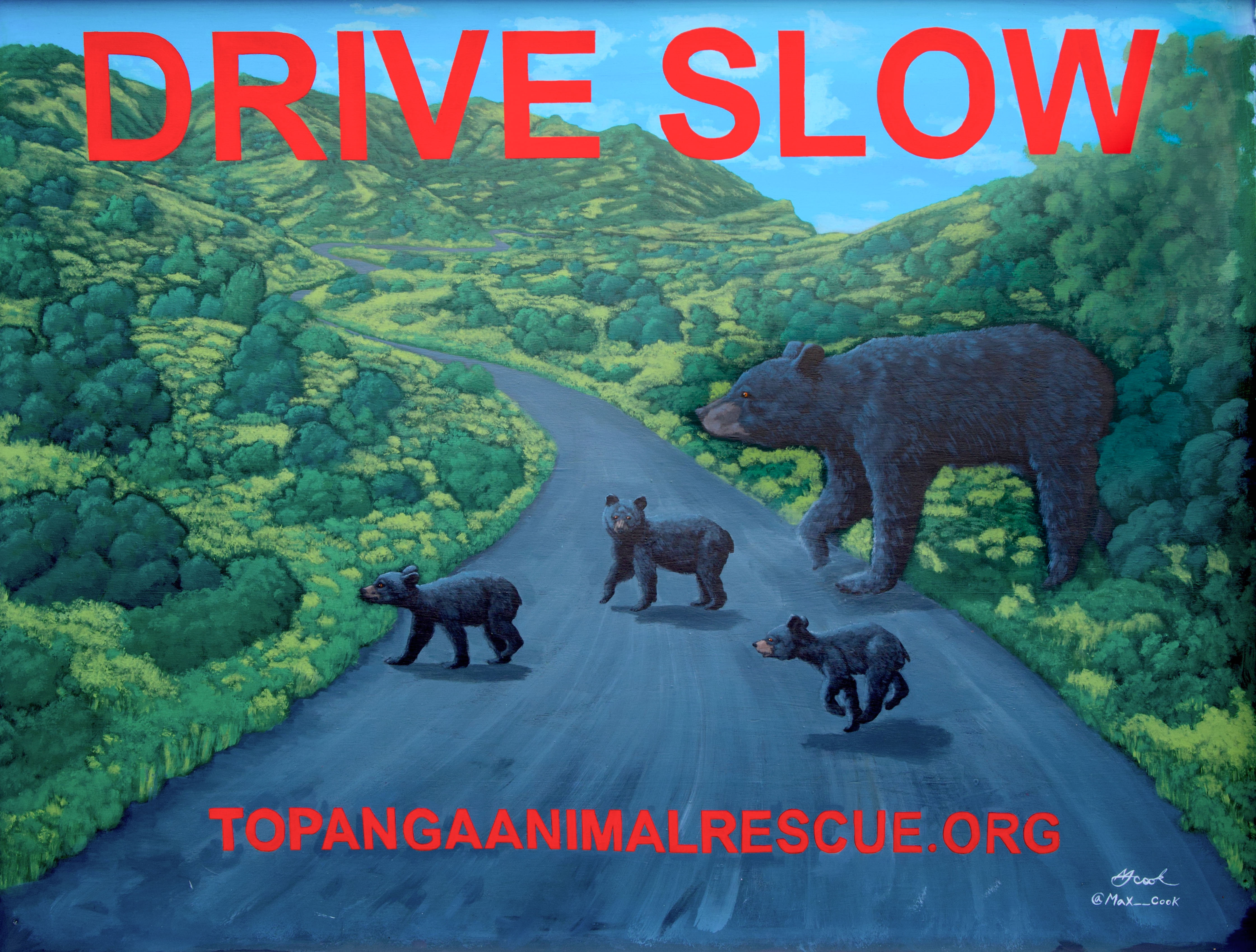 Drive Slow!