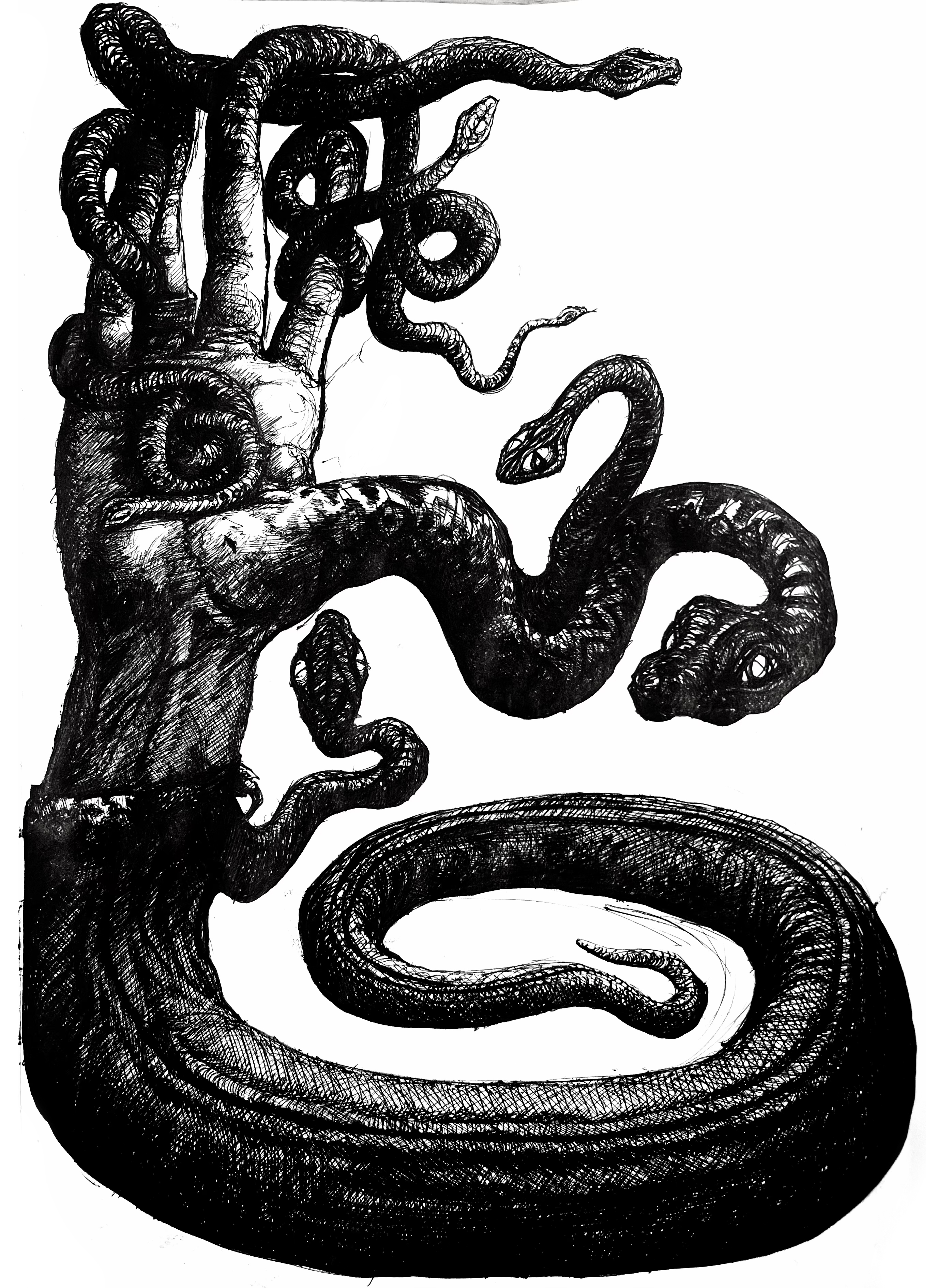 snakehand